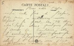 Vintage Postcard Morocco Seen of the Palm trees in the oasis Palm tree