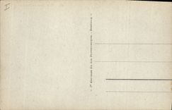 Vintage Postcard Palm trees Bridge of Palm tree