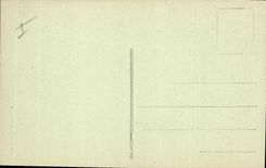 Vintage Postcard Palm trees Marrakech Palm tree