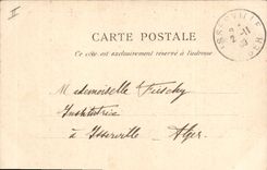 Vintage Postcard Biskra Groups Palm trees Palm tree