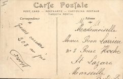 Vintage Postcard Palm trees Palm tree Algiers Study of palm trees to the garden of test