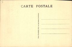 Vintage Postcard Palm trees Marrakech Palm tree palm plantation