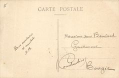 Vintage Postcard Biskra Study of Palm trees Palm tree