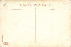 Vintage Postcard Palm trees Palm tree mineral-water Station of the Manurings palm plantation