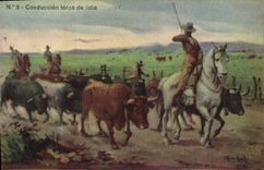 Postal Corrida Curso de toros Conducción toros de lidia