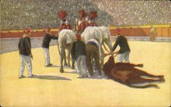 CPA Corrida Course de taureaux Bertuchi 