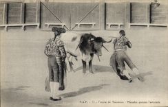 CPA Corrida Course de taureaux Matador portant l'estocade 