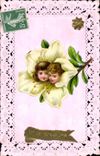 Vintage Postcard Fantasy Brodee Children Flowers
