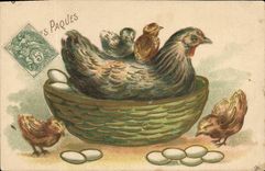 Vintage Postcard Fantasy Flowers Hen Chicks