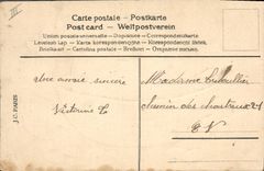 Vintage Postcard Fantasy Flowers Hen Chicks