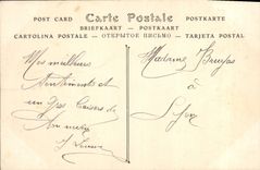 Vintage Postcard Palm trees Palm tree Saharan Landscapes In the oasis