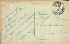 Vintage Postcard Palm trees Palm tree Biskra Palm trees furnished with their modes