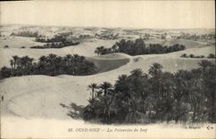 Vintage Postcard Palm trees Palm tree Souf Wadi palm plantations of Souf