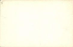 Vintage Postcard Palmiers Palm tree Algeria Drill of palm trees has Biskra