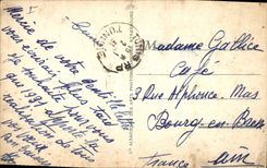 Vintage Postcard Palm trees Palm tree Way in the palm plantation