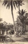 Vintage Postcard Palm trees Palm tree a way in the palm plantation