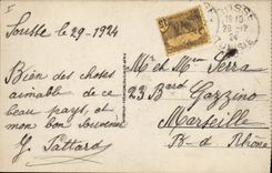 Vintage Postcard Palm trees Palm tree a way in the palm plantation