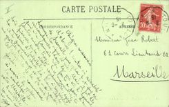 Vintage Postcard Tree Juan Pines the large umbrella pine