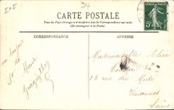 Vintage Postcard Arbre Creteil the tree leans and the Marne on the arm of Chapter