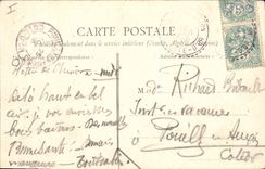 Vintage Postcard Tree Dijon Garden of the Arquebus the black Poplar