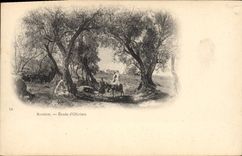 Vintage Postcard Tree Algeria Study of olive-trees Donkey mule