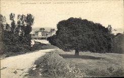 Vintage Postcard Arbre St Cast the descent has the sea and the holm oak
