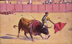 CPA Corrida Course de taureaux Bertuchi 