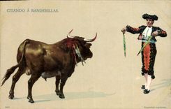 CPA Corrida Course de taureaux Citando a Banderillas 