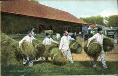 CPA Militaria Artillerie Le fourrage