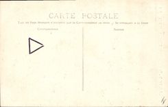 Vintage Postcard Tree Drill of Holy the Balsam Way of Large Prad