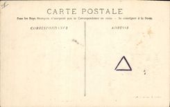 Vintage Postcard Tree Holy the Interior Balsam of the drill