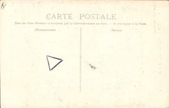 Vintage Postcard Tree Drill of Holy the Balsam Ales of the Belladonnas