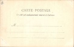 Vintage Postcard Tree Holy Balsam the drill