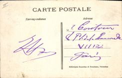 Vintage Postcard Villennes Tree Sophora