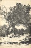 Vintage Postcard Tree Holy the Balsam the large oak of Giniez