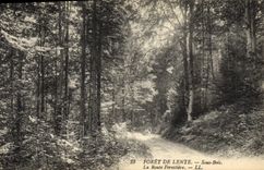 Vintage Postcard Tree Drill of Slow Under wood the road forestiere