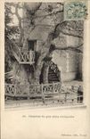 Vintage Postcard Tree Vaults of the large oak of Allouville