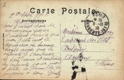 Vintage Postcard Tree the Great Dimension Study of pines