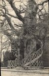 Vintage Postcard Tree Surroundings of Yvetot the oak vault of Allouville Bellefosse