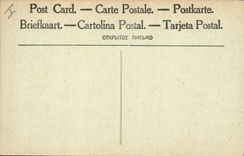 Vintage Postcard Tree Between Lassigny and Dives Trees Militaria cuts