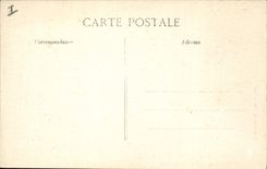 Vintage Postcard Holy Tree Raphael Umbrella pines on the road of Valescure