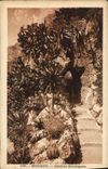 Vintage Postcard Monaco exotic Gardens