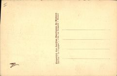 Various Vintage Postcards Monaco exotic Gardens Opuntia Cereus and aloes