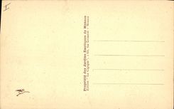 Various Vintage Postcards Monaco exotic Gardens Opuntia and aloes