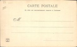 Vintage Postcard Hyeres Groups aloe