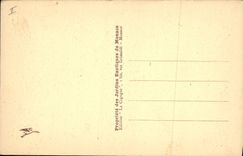 Vintage Postcard Monaco exotic gardens various Aloes and opuntia