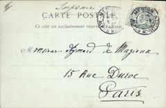 Vintage Postcard Chin gardens of Carei