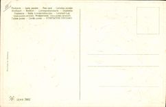 Vintage Postcard Fantasy Flowers Dove Hand