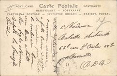 Vintage Postcard Beaulieu Tree on Sea the king of the olive-trees