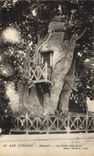 Vintage Postcard Tree Surroundings of Yvetot Allouville the oak